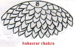 Sahasrar Chakra