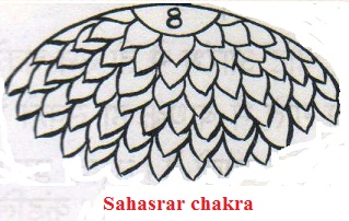 Sahasrar Chakra
