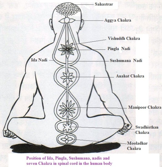 Энергоцентры человека чакры. Сахасрара будда. Система чакр человека. Чакры человека их расположение и цвета. Чакры аджна и сахасрара.